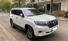 Toyota Land Cruiser 2010 - Màu trắng, xe nhập chính chủ giá ưu đãi