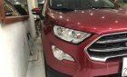 Ford EcoSport 2018 - Bán xe chính chủ giá tốt