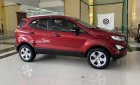 Ford EcoSport 2019 - Xe cực đẹp