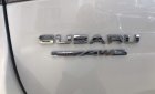 Subaru Forester 2021 - Chỉ 969 triệu sở hữu xe ngay - Ưu đãi khủng lớn nhất năm - Subaru Đồng Nai