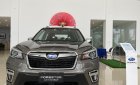 Subaru Forester 2022 - Sẵn 01 xe nâu đất giao ngay