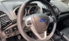 Ford EcoSport 2017 - Xe có hồ sơ chính chủ