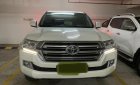 Toyota Land Cruiser 2020 - Toyota Land Cruiser 2020 tại 2