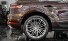 Porsche Macan 2016 - Xe màu nâu