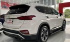 Hyundai Santa Fe 2020 - Bao check test hãng