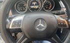Mercedes-Benz E200 2013 - Xe màu bạc