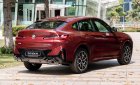 BMW X4 2022 - Sẵn xe giao ngay