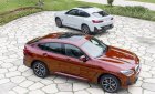 BMW X4 2022 - Giá 3 tỷ 489tr, xe màu cực hot