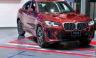 BMW X4 2022 - Sẵn xe giao ngay