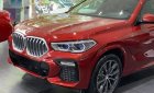 BMW X6 2022 - Xe màu đỏ nổi bật thu hút ánh nhìn