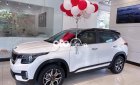 Kia Seltos   2021 - Bán ô tô Kia Seltos sản xuất 2021, màu trắng