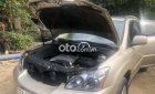 Lexus RX 330 2004 - Cần bán xe Lexus RX 330 năm sản xuất 2004, màu vàng, xe nhập