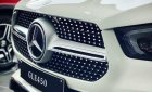 Mercedes-Benz GLE 450 2021 - Nhập khẩu nguyên chiếc từ Mỹ
