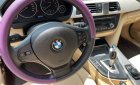 BMW 320i 2013 - Xe màu trắng