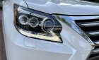 Lexus GX 460 2014 - Bán xe giá cực tốt. Đã vào nhiều đồ chơi
