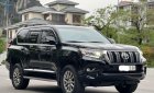 Toyota Land Cruiser Prado 2020 - Tư nhân