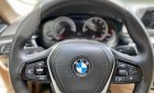 BMW 520i 2018 - Cần bán gấp xe đen nội thất kem