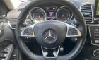 Mercedes-Benz GLE 43 2016 - Đăng ký lần đầu 2017