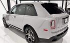 Rolls-Royce Cullinan 2022 - Xế hộp sang trọng giá cực ưu đại cho anh em