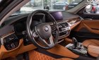 BMW 530i 2019 - Xe màu đen
