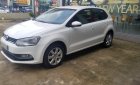 Volkswagen Polo 2016 - Volkswagen Polo 2016 số tự động tại Tp.HCM