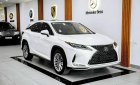 Lexus RX 300 2022 - Xe lướt như mới, nguyên zin từ sơn đến nội thất cần bán