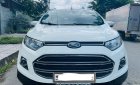 Ford EcoSport 2016 - Xe màu trắng 