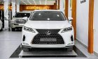 Lexus RX 300 2022 - Xe lướt như mới, nguyên zin từ sơn đến nội thất cần bán