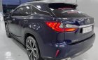 Lexus RX 300 2019 - Lexus 2019 tại Hà Nội