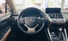 Lexus NX 300 2019 - Sang trọng - Đẳng cấp - Nhập khẩu Nhật Bản