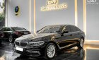 BMW 530i 2019 - BMW 2019 tại Tp.HCM