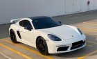 Porsche 718 2019 - Tư nhân chính chủ