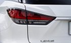 Lexus RX 300 2020 - Cần bán xe ít sử dụng giá chỉ 3 tỷ 348tr