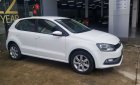 Volkswagen Polo 2016 - Volkswagen Polo 2016 số tự động tại Tp.HCM