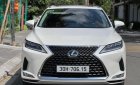 Lexus RX 300 2022 - Đăng ký lần đầu 2022 xe gia đình giá 3 tỷ 578tr