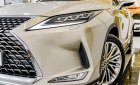 Lexus RX 300 2022 - Xe mới đến 99% cần bán