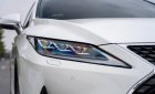 Lexus RX 300 2020 - Cần bán xe ít sử dụng giá chỉ 3 tỷ 348tr