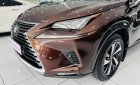 Lexus NX 300 2019 - Sang trọng - Đẳng cấp - Nhập khẩu Nhật Bản