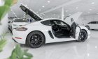 Porsche 718 2019 - Bán xe odo 2 vạn km