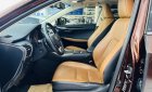 Lexus NX 300 2019 - Tặng ngay 1 miếng vàng thần tài - Miễn phí 100% thuế trước bạ khi mua xe trong tháng