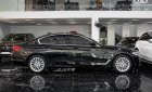 BMW 530i 2019 - BMW 2019 tại Tp.HCM