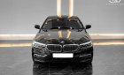 BMW 530i 2019 - BMW 2019 tại Tp.HCM