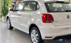 Volkswagen Polo 2022 - Hatchback 5 cửa