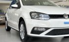 Volkswagen Polo 2022 - Hatchback 5 cửa