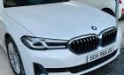 BMW 520i 2020 - Đã chạy 19 000 km
