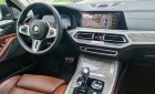 BMW X7 2020 - Xe màu xanh lam