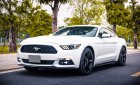 Ford Mustang 2014 - Ford Mustang 2014