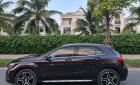 Mercedes-Benz GLA 250 2015 - Màu nâu, nội thất đen