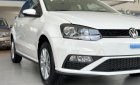 Volkswagen Polo 2021 - Hỗ trợ trả góp