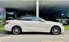 Mercedes-Benz E400 2014 - Màu trắng nội thất nâu